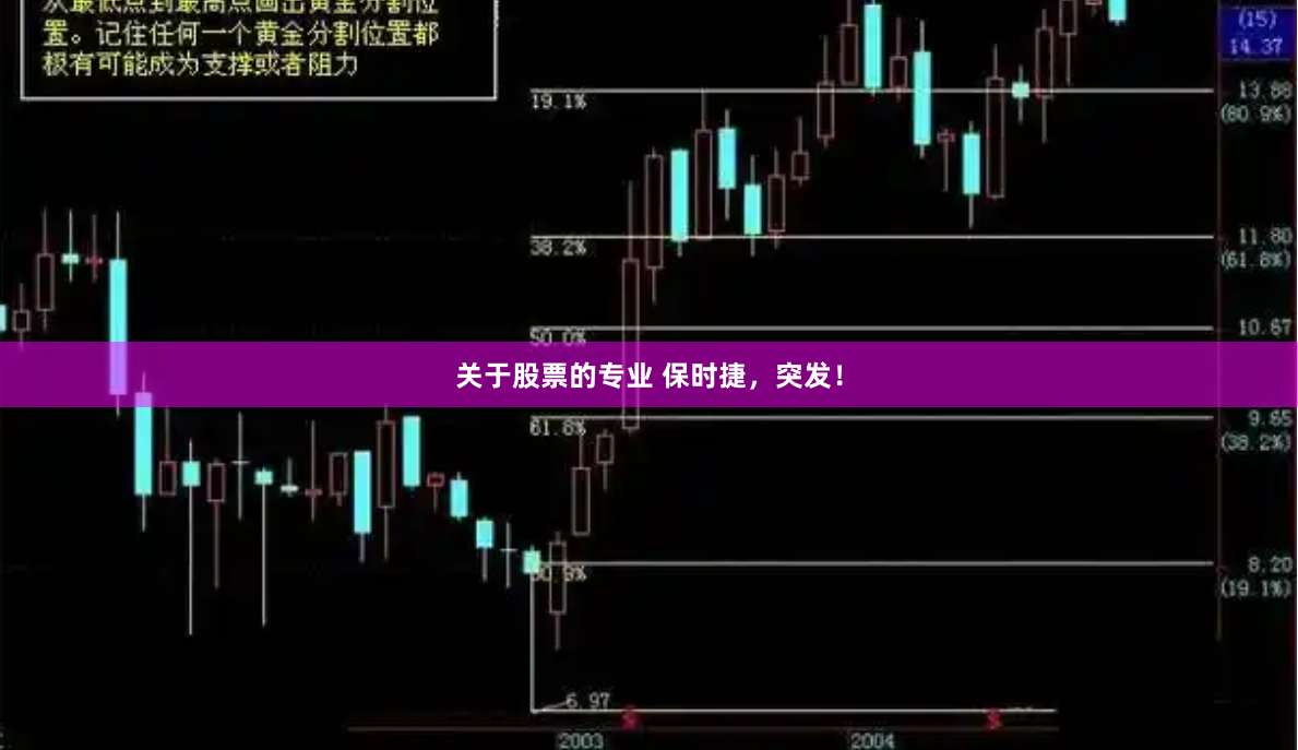 关于股票的专业 保时捷，突发！