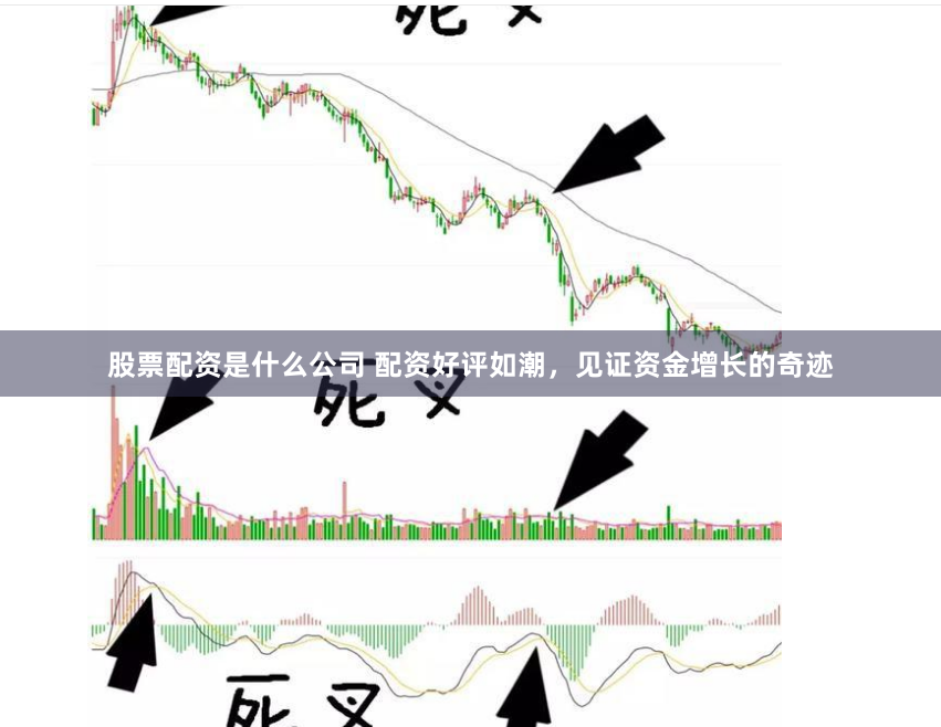 股票配资是什么公司 配资好评如潮，见证资金增长的奇迹