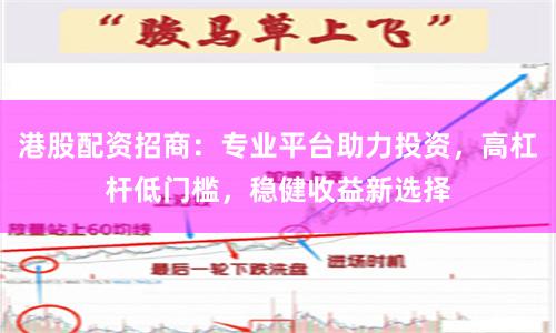 港股配资招商：专业平台助力投资，高杠杆低门槛，稳健收益新选择